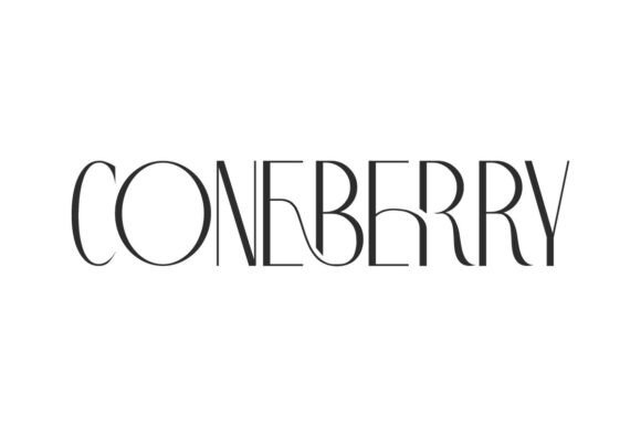 Coneberry: A Display Font That Elevates Real Small Business Branding