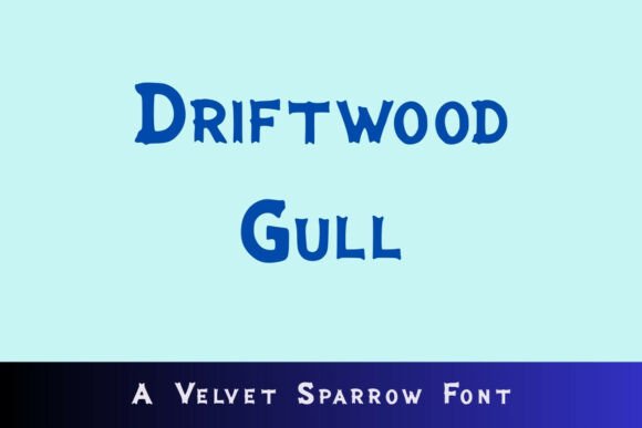 Driftwood Gull: A Coastal Display Font That Makes Your Brand Feel Calm & Consistent
